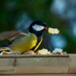 鳥がパンをくわえている
